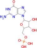 Guanosine-5'-monophosphate