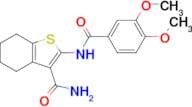 2-(3,4-DIMETHOXYBENZAMIDO)-4,5,6,7-TETRAHYDROBENZO[B]THIOPHENE-3-CARBOXAMIDE