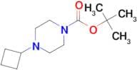tert-Butyl 4-Cyclobutylpiperazine-1-carboxylate