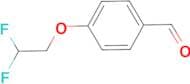 4-(2,2-difluoroethoxy)benzaldehyde