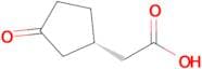 (S)-2-(3-Oxocyclopentyl)acetic acid