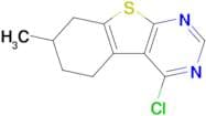 4-Chloro-7-methyl-5,6,7,8-tetrahydrobenzo[4,5]thieno[2,3-d]pyrimidine