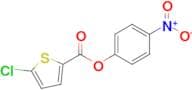 4-Nitrophenyl 5-chlorothiophene-2-carboxylate