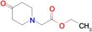 ETHYL 2-(4-OXOPIPERIDIN-1-YL)ACETATE