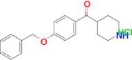 (4-BENZYLOXY-PHENYL)-PIPERIDIN-4-YL-METHANONE HCL