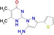 2-[5-amino-3-(2-thienyl)-1H-pyrazol-1-yl]-5,6-dimethylpyrimidin-4(3H)-one