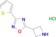 5-azetidin-3-yl-3-(2-thienyl)-1,2,4-oxadiazole hydrochloride