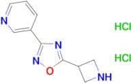 3-(5-azetidin-3-yl-1,2,4-oxadiazol-3-yl)pyridine dihydrochloride