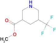 METHYL 5-(TRIFLUOROMETHYL)PIPERIDINE-3-CARBOXYLATE