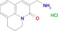 6-(aminomethyl)-2,3-dihydro-1H,5H-pyrido[3,2,1-ij]quinolin-5-one hydrochloride