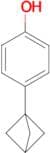 4-(bicyclo[1.1.1]pentan-1-yl)phenol
