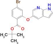 Tert-butyl 4-bromo-2-{1H-pyrrolo[2,3-b]pyridin-5-yloxy}benzoate