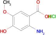 2-amino-4-hydroxy-5-methoxybenzoic acid hydrochloride