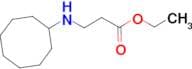 Ethyl 3-(cyclooctylamino)propanoate