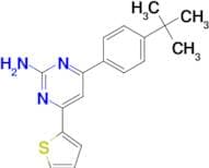 4-(4-tert-butylphenyl)-6-(thiophen-2-yl)pyrimidin-2-amine