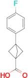 3-(4-FLUOROPHENYL)BICYCLO[1.1.1]PENTANE-1-CARBOXYLIC ACID