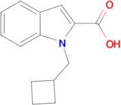 1-(cyclobutylmethyl)-1H-indole-2-carboxylic acid