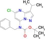 Tert-Butyl benzyl(5-chloro-3-isopropylpyrazolo[1,5-a]pyrimidin-7-yl)carbamate