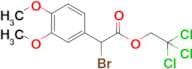 2,2,2-Trichloroethyl 2-bromo-2-(3,4-dimethoxyphenyl)acetate