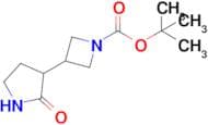 Tert-Butyl 3-(2-oxopyrrolidin-3-yl)azetidine-1-carboxylate