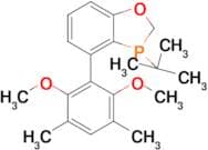 3-(tert-Butyl)-4-(2,6-dimethoxy-3,5-dimethylphenyl)-2,3-dihydrobenzo[d][1,3]oxaphosphole