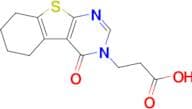 3-{3-oxo-8-thia-4,6-diazatricyclo[7.4.0.0,2,7]trideca-1(9),2(7),5-trien-4-yl}propanoic acid