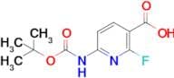 6-((tert-Butoxycarbonyl)amino)-2-fluoronicotinic acid