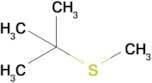 Tert-butyl(methyl)sulfane