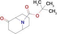 Tert-butyl 2-oxo-9-azabicyclo[3.3.1]Nonane-9-carboxylate