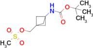(3-((tert-Butoxycarbonyl)amino)bicyclo[1.1.1]pentan-1-yl)methyl methanesulfonate