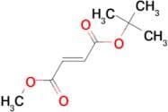 TERT-BUTYL METHYL FUMARATE