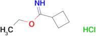 Cyclobutanecarboximidic acid, ethyl ester, hydrochloride