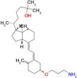 3-O-(2-Aminoethyl)-25-hydroxyvitamin D3