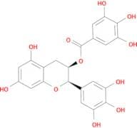 (-)-Epigallocatechin gallate