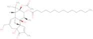 Phorbol-12-myristate-13-acetate