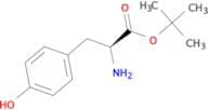 H-Tyr-OtBu