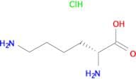H-D-Lys-OH.HCl