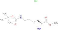 H-Lys(Boc)-OMe.HCl
