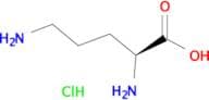 H-Orn-OH.HCl