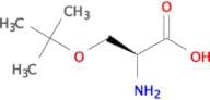 H-Ser(tBu)-OH