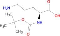 Boc-Orn-OH