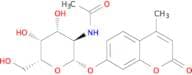 4-Methylumbelliferyl N-acetyl-β-D-galactosaminide
