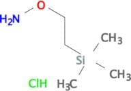 O-(2-Trimethylsilylethyl)hydroxylamine-hydrochloride