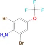 2,6-Dibromo-4-(trifluoromethoxy)aniline
