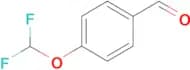 4-(Difluoromethoxy)benzaldehyde
