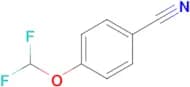 4-(Difluoromethoxy)benzonitrile