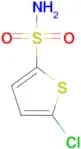 5-Chlorothiophene-2-sulfonamide