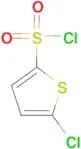 5-Chlorothiophene-2-sulfonyl chloride