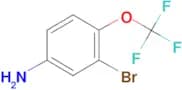 3-Bromo-4-(trifluoromethoxy)aniline