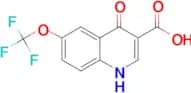 4-Hydroxy-6-(trifluoromethoxy)quinoline-3-carboxylic acid